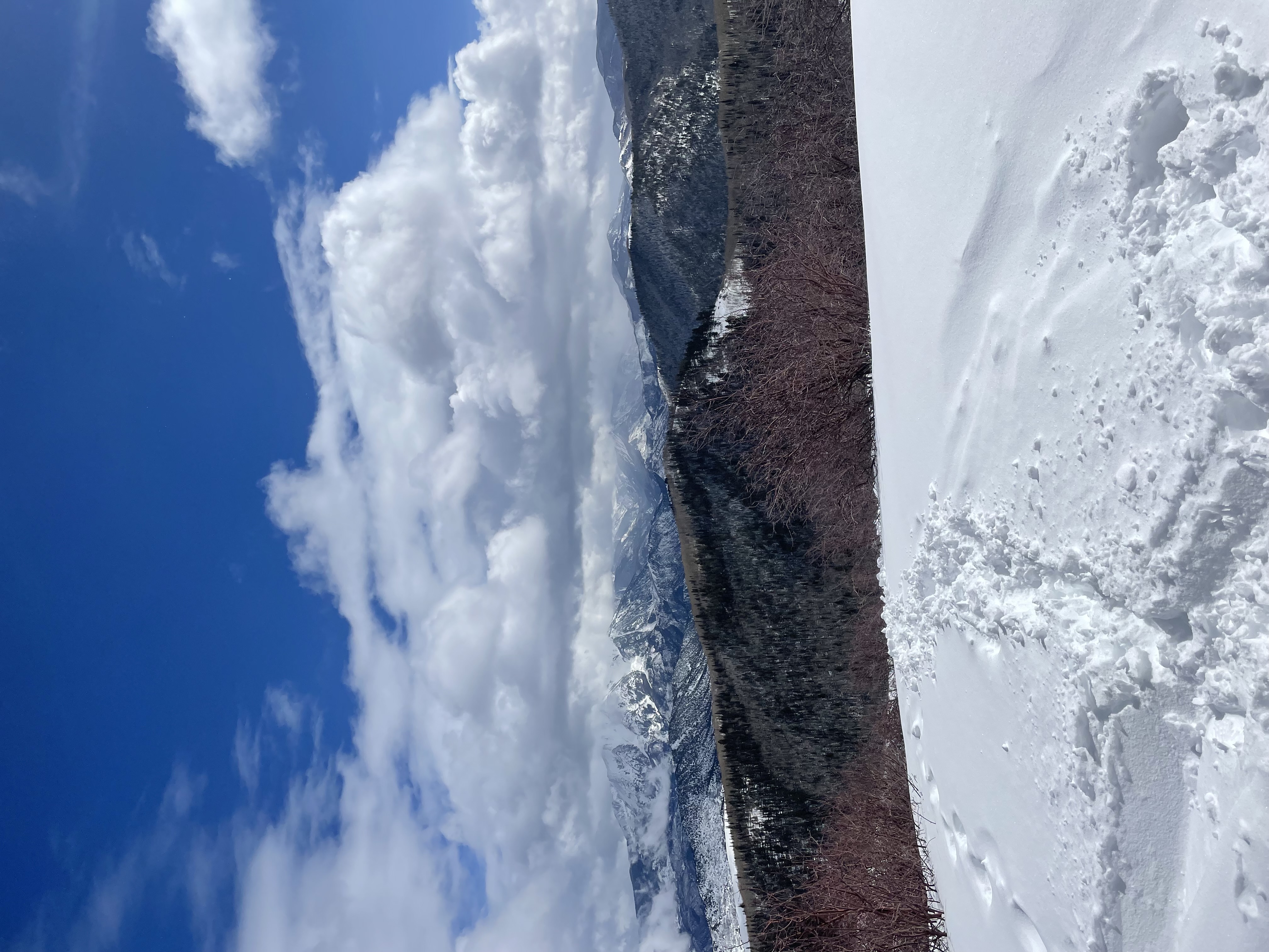 Colorado Mountain Side